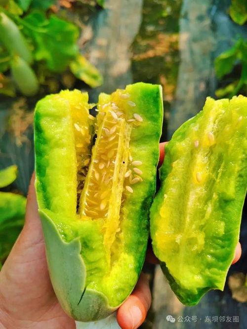 吃瓜群免费进,揭秘神秘社交圈背后的秘密 第2张 吃瓜群免费进,揭秘神秘社交圈背后的秘密 第2张